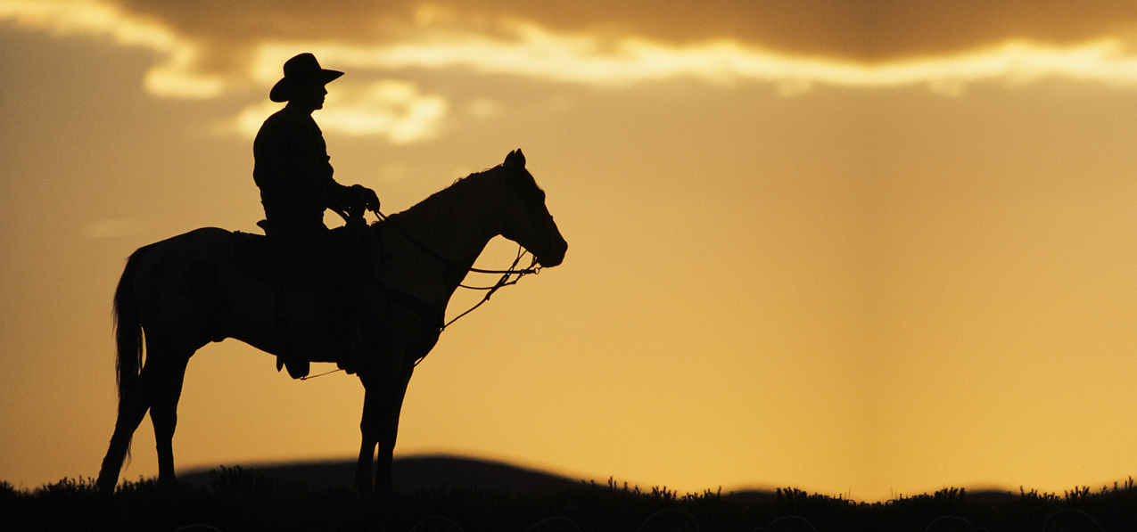Cowboy Bronze